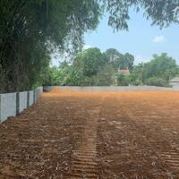 1420m² có 100 thổ cư Tại cư yên lương son hoà bình