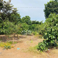 Bán Nhà Vườn Trái Cây Trảng Bom Đồng Nai Giá Rẻ