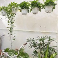 Bán Nhà Sân Vườn Phố Hàn Quốc - Đường Huỳnh Thúc Kháng - Nha Trang - 26 Tỷ-182M2