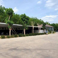 Cho Thuê Xưởng 12.000M2 Mới 100% Tại Tân Uyên Bình Dương Gc
