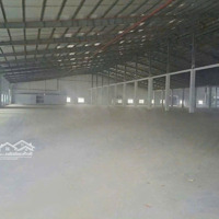 Cho Thuê 5.300M2 Tại Cụm Cn Tp Mới Bình Dương