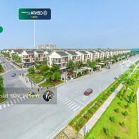 Mở Bán Quỹ Căn Biệt Thự Vườn Đơn Giá Bán 50 Triệu, Đón Sóng Bắc Ninh Lên Tp Trực Thuộc Tw Năm 2026