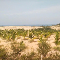 Đất View Biển Phan Thiết, Gần Nova, Gần Đường 719B