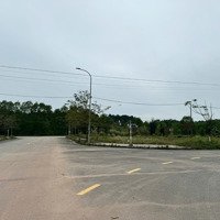 Bán Đất 2 Mặt Tiền Đường Hoàng Văn Thụ, Sát 2 Triệuung Tâm Thương Mại- Kđt Nam Đông Hà