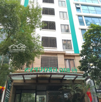 Bán Nhà Apartment Trần Thái Tông, Khúc Thừa Dụ, Cầu Giấy, Vỉa Hè, Kinh Doanh, Dòng Tiền 2,4Tỷ/Năm.
