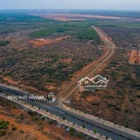 Bán 1000M2 Đường 715, Thiện Nghiệp Ngay Cổng Chào Võ Nguyên Giáp Kế Sungroup