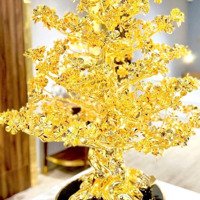 Bán Đất Tại Trí Quả, Thuận Thành, Bắc Ninh, Giá Thỏa Thuận, 90M2