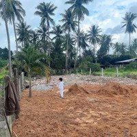 Bán Đất Tại Lê Thánh Tông, Cam Phúc Bắc, Cam Ranh, 2,4 Tỷ, 300M2 - Giá Siêu Hời Thổ Cư 75M2
