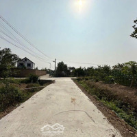 Em Siêu Phẩm Đầy Đủ Yếu Tố Đầu Tư Cho Quý Ac Đây Ạ. Đối Diện Dự Án Tđc Sân Bay Nội Bài. Tiềm Năng