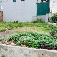 Nhỉnh Tỷ Có Ngay Lô Gócdiện Tíchgần 50M2 Ngõ Rộng Thông, Ô Tô 7 Chỗ Vào Tận Đất, Tại Phù Trì, Kim Hoa