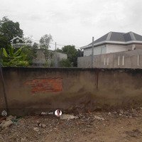 Bán Đất Cạnh Trường Học Xuân Đông Của Xã Xuân Đông, Chợ Gạo 810 Triệu/ 239 M2, Đẹp, Pháp Lý Đầy Đủ
