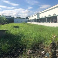 Bán Đất Thổmặt Tiềnkinh Doanh Kế Bên Thành Phố Tân An 10X30M, Mặt Tiền Đường 16M Nhỉnh 4 Tỷ