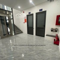 Khai Trương Chdv Mới 100% Ngày Phan Huy Ích, Đối Diện E - Mart