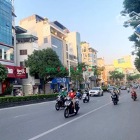 Nhà Mặt Đường Nguyễn Văn Cừ 8 Tầng Thang Máy Đẹp Lung Linh, Vị Trí Đắc Địa