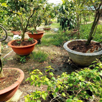 Bán Đất 417M2 Chính Chủ, Thuộc Ấp Thanh Minh, Xã Vĩnh Thanh, Nhơn Trạch, Đồng Nai