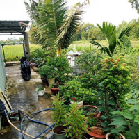 Bán Đất 417M2 Chính Chủ, Thuộc Ấp Thanh Minh, Xã Vĩnh Thanh, Nhơn Trạch, Đồng Nai