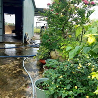Bán Đất 417M2 Chính Chủ, Thuộc Ấp Thanh Minh, Xã Vĩnh Thanh, Nhơn Trạch, Đồng Nai