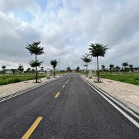 Vào Tên Trực Tiếp Giá F0, Lô Ngay Phố Đi Bộ Hoà Mạc, Sổ Đỏ Từng Lô, Gần Công Viên Liên Hệ: 0981.29.46.29