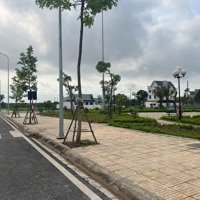 Vào Tên Trực Tiếp Giá F0, Lô Ngay Phố Đi Bộ Hoà Mạc, Sổ Đỏ Từng Lô, Gần Công Viên Liên Hệ: 0981.29.46.29