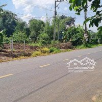 Siêu Phẩm Mặt Tiền Châu Pha Bầu Phượng, Hắc Dịch