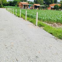 Hiệp Thạnh- Gò Dầu 200M2 Full Thổ Cư Cập Ranh Kcn Giá Chỉ 440 Triệu