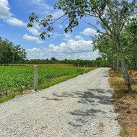 Hiệp Thạnh- Gò Dầu 200M2 Full Thổ Cư Cập Ranh Kcn Giá Chỉ 440 Triệu