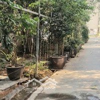 Bán Đất Hoàng Thành Vila Mỗ Lao- 2 Mặt Ngõ - Ô Tô Đỗ - View Cv Cây Xanh Hoàng Thành, 52M Nhỉnh 9 Tỷ