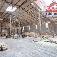 Bán Xưởng Tân Hoà 5100M2, Giá Tốt Quá Rẻ Sản Xuất Gia Công Lợi Nhuận Cao