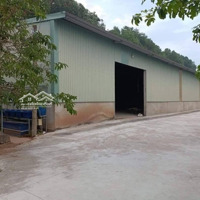 Xưởng Củ Chi, 6582M2, Giá Bán 60 Triệu, Đường Công 24/14