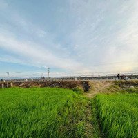 Bán Đất Trồng Lúa Có Quy Hoạch Du Dân Cư Trong Tương Lai Gần Giá Rẻ Gần Mặt Tiền Đường Qlo 1A