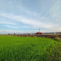 Bán Đất Trồng Lúa Có Quy Hoạch Du Dân Cư Trong Tương Lai Gần Giá Rẻ Gần Mặt Tiền Đường Qlo 1A