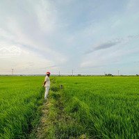 Bán Đất Trồng Lúa Có Quy Hoạch Du Dân Cư Trong Tương Lai Gần Giá Rẻ Gần Mặt Tiền Đường Qlo 1A