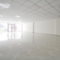 Cho Thuê Siêu Tòa Nhàmặt Tiềntrường Sơn, P.2. Dt: 8X20M, Hầm 6 Tầng, Sàn Suốt, Pccc. Giá Bán 120 Triệu