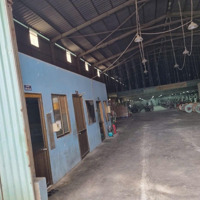Cho Thuê Kho Xưởng 1700M2 Tăng Nhơn Phú, Phước Long B, Q9, Tp Thủ Đức