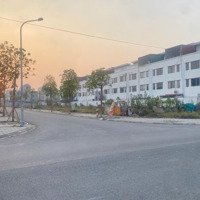 Một Lô Hoa Hậu Vườn Sen Đẹp Không Tỳ Vết Vạn Người Mê Giá Thấp Nhất Thị Trường