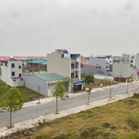 Một Lô Hoa Hậu Vườn Sen Đẹp Không Tỳ Vết Vạn Người Mê Giá Thấp Nhất Thị Trường