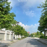 Một Lô Hoa Hậu Vườn Sen Đẹp Không Tỳ Vết Vạn Người Mê Giá Thấp Nhất Thị Trường