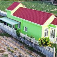 Bán Đất Tặng Nhà Thái Nghỉ Dưỡng Hồ Tràm 10.5X50M, Thổ Cư 100M2 Giá Ngộp 6,7 Tỷ