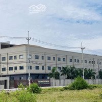 Đất View Công Viên Đường Cổ Mân Cúc 3, Hoà Xuân Giá Bán 3,15 Tỷ