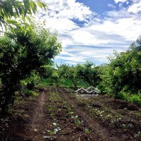 Bán Đất View Hồ Cơ Hội Đầu Tư Homestay Tại Tà Số 1, Mộc Châu