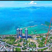 Rẻ Chưa Từng Có, Mặt Tiền Phạm Văn Đồng - Chỉ 47 Triệu/M2 Khu Đô Thị Mới Vĩnh Hoà, Nha Trang