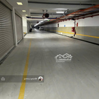 Cho Thuê Các Căn Lớn Tại Sala 1000M2, 1400M2, Bàn Giao Hoàn Thiện, Đặt Biệt Hầm Riêng Free