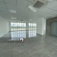 Cho Thuê Các Căn Lớn Tại Sala 1000M2, 1400M2, Bàn Giao Hoàn Thiện, Đặt Biệt Hầm Riêng Free