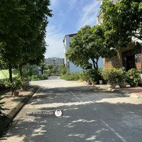Bán Lô Đất 79,5M2 Tại Khu Tđc Trâu Quỳ, View Vườn Hoa Cực Thoáng, Khổ Đất Đẹp Để Xây Nhà