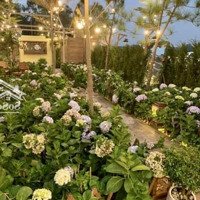 Bán Nhà Mặt Đường Tô Hiệu, P. Trại Cau, Q. Lê Chân, Hải Phòng
