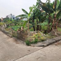 Bán Lô Góc Siêu Đẹp Thuần Xuyên, Hưng Long, Mỹ Hào. Đường Trước Nhà Ô Tô Đánh Võng. Giá Chỉ Hơn 1,4