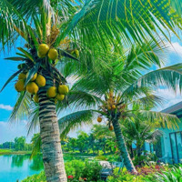 Nhà Phố Phúc An City, Diện Tích 5X15M Khu Dân Cư Đông, Đủ Tiện Ích, Giá Bán 1,85 Tỷ Bao Hết Phí