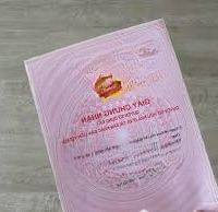 Hơn 4 Tỷ Có Ngay Đất Tặng Nhà Mặt Phố Đa Tốn, Kinh Doanh Được, Trục Chính Sẵn Nhà Cấp 4 Cho Thuê