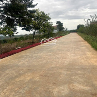 Đón Đầu Năm Mới Với Lô Đất 1300M2 Trung Tâm Xã Liên Hiệp, Ngay Sân Bay Liên Khương Giá Bán 2.7 Tỷ