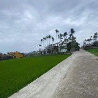 Bán Đất Kiệt Otto View Lúa Trần Nhân Tông, Cẩm Thanh , Hội An , Quảng Nam
